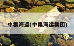 中集海运(中集海运集团)