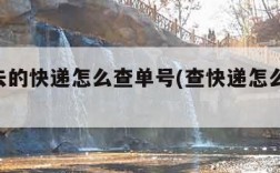 寄出去的快递怎么查单号(查快递怎么查 有单号)