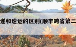 顺丰快递和速运的区别(顺丰跨省第二天能到吗)