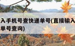 直接输入手机号查快递单号(直接输入手机号查快递单号查询)