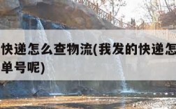 我发的快递怎么查物流(我发的快递怎么查物流没有单号呢)