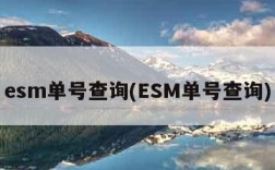 esm单号查询(ESM单号查询)
