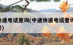 中通快递电话查询(中通快递电话查询 查快递单号)