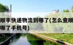 怎么查顺丰快递物流到哪了(怎么查顺丰快递物流到哪了手机号)