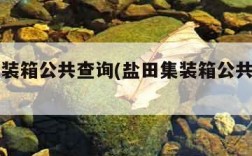 盐田集装箱公共查询(盐田集装箱公共查询官网)