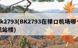 bk2793(BK2793在禄口机场哪个航站楼)