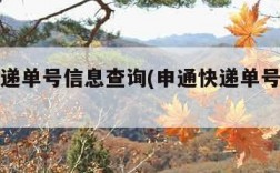 申通快递单号信息查询(申通快递单号查询详情)
