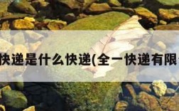 全一快递是什么快递(全一快递有限公司)