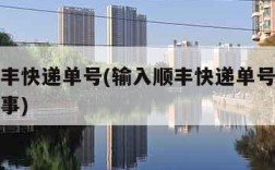 输入顺丰快递单号(输入顺丰快递单号查不到怎么回事)