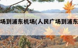 人民广场到浦东机场(人民广场到浦东机场地铁)