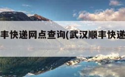武汉顺丰快递网点查询(武汉顺丰快递联系方式)