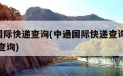 中通国际快递查询(中通国际快递查询 单号 单号查询)