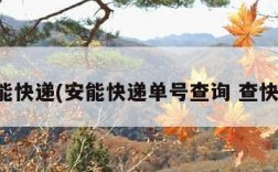 安能快递(安能快递单号查询 查快递)
