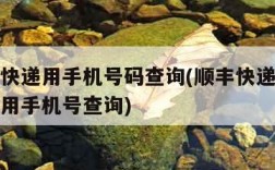 顺丰查快递用手机号码查询(顺丰快递单号查询怎么用手机号查询)