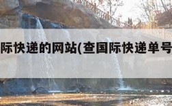 查询国际快递的网站(查国际快递单号查询网站)