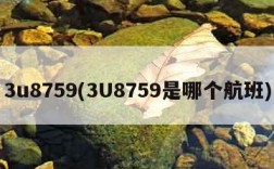 3u8759(3U8759是哪个航班)