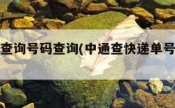 快递单查询号码查询(中通查快递单号查询入口)