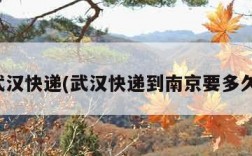 武汉快递(武汉快递到南京要多久)