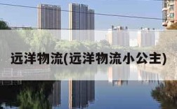 远洋物流(远洋物流小公主)