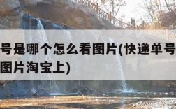快递单号是哪个怎么看图片(快递单号是哪个怎么看图片淘宝上)