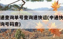 中通快递查询单号查询速快运(中通快递查询单号查询号码查)