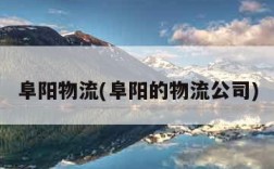 阜阳物流(阜阳的物流公司)