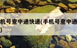 输入手机号查中通快递(手机号查中通快递物流信息)