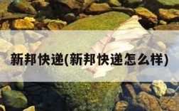 新邦快递(新邦快递怎么样)