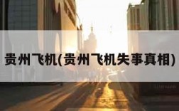 贵州飞机(贵州飞机失事真相)