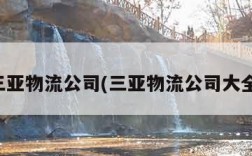 三亚物流公司(三亚物流公司大全)