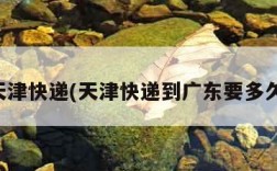天津快递(天津快递到广东要多久)