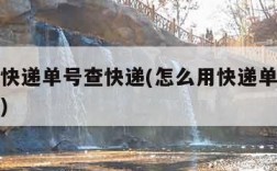 怎么用快递单号查快递(怎么用快递单号查快递物流)