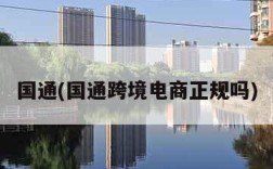 国通(国通跨境电商正规吗)