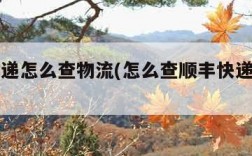 韵达快递怎么查物流(怎么查顺丰快递物流到哪了)