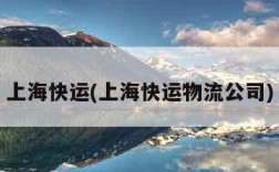 上海快运(上海快运物流公司)