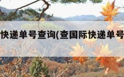 查国际快递单号查询(查国际快递单号查询查)