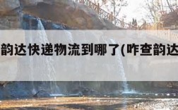 怎么查韵达快递物流到哪了(咋查韵达快递到哪了)