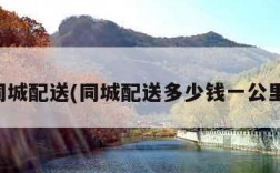 同城配送(同城配送多少钱一公里)