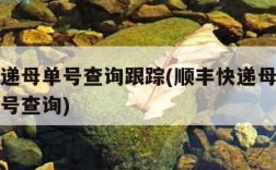 顺丰快递母单号查询跟踪(顺丰快递母单号查询跟踪号查询)