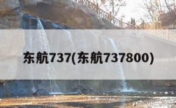东航737(东航737800)