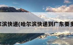 哈尔滨快递(哈尔滨快递到广东要多久)