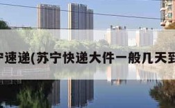 苏宁速递(苏宁快递大件一般几天到货)