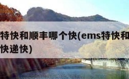 ems特快和顺丰哪个快(ems特快和顺丰哪个快递快)