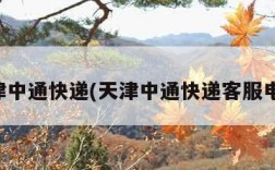 天津中通快递(天津中通快递客服电话)