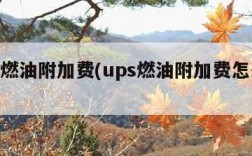 ups燃油附加费(ups燃油附加费怎么算的)