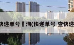 快递单号査洵(快递单号 查快递)