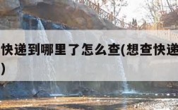 怎样查快递到哪里了怎么查(想查快递到哪里怎么查)