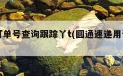 圆通订单号查询跟踪丫t(圆通速递用订单号查询)