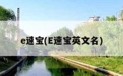 e速宝(E速宝英文名)