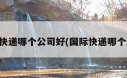 国际快递哪个公司好(国际快递哪个最好)
